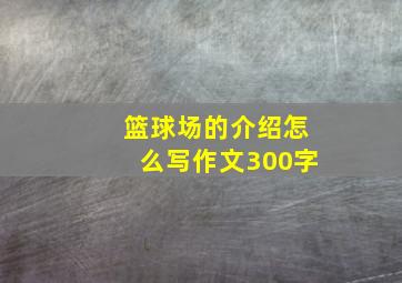 篮球场的介绍怎么写作文300字