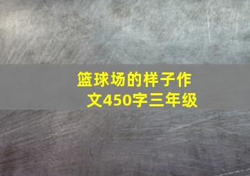 篮球场的样子作文450字三年级