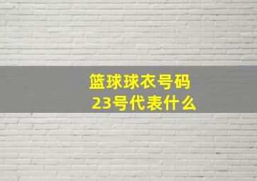 篮球球衣号码23号代表什么