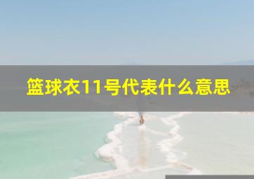 篮球衣11号代表什么意思