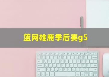 篮网雄鹿季后赛g5