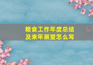 粮食工作年度总结及来年展望怎么写