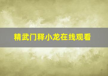 精武门释小龙在线观看