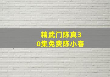 精武门陈真30集免费陈小春