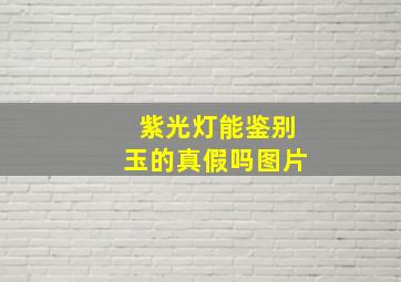 紫光灯能鉴别玉的真假吗图片