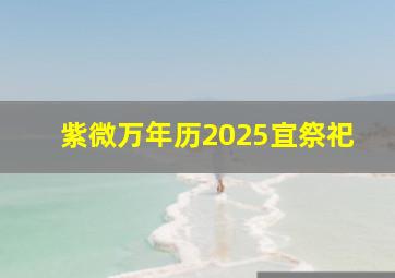 紫微万年历2025宜祭祀