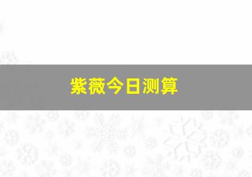 紫薇今日测算