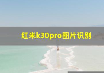 红米k30pro图片识别