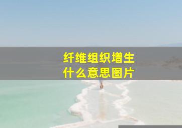 纤维组织增生什么意思图片