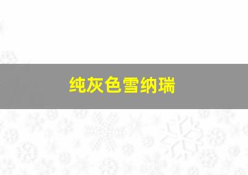 纯灰色雪纳瑞