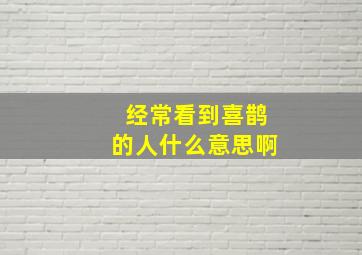 经常看到喜鹊的人什么意思啊