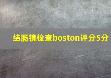 结肠镜检查boston评分5分