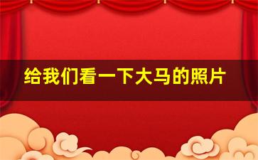 给我们看一下大马的照片