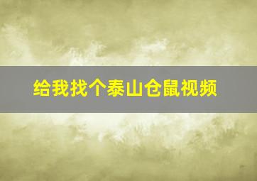 给我找个泰山仓鼠视频