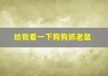 给我看一下狗狗抓老鼠