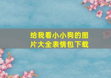 给我看小小狗的图片大全表情包下载