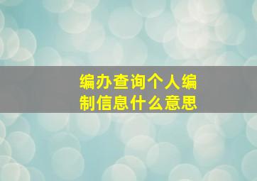 编办查询个人编制信息什么意思