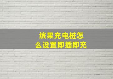 缤果充电桩怎么设置即插即充