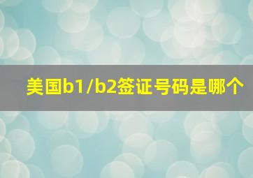 美国b1/b2签证号码是哪个