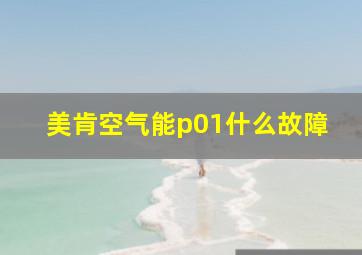 美肯空气能p01什么故障