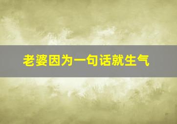 老婆因为一句话就生气