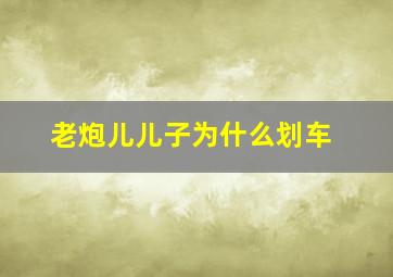 老炮儿儿子为什么划车