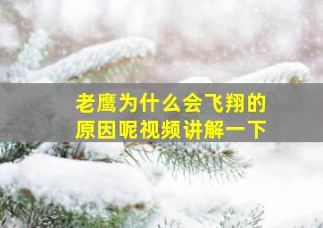 老鹰为什么会飞翔的原因呢视频讲解一下