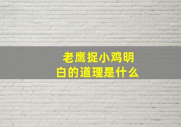 老鹰捉小鸡明白的道理是什么