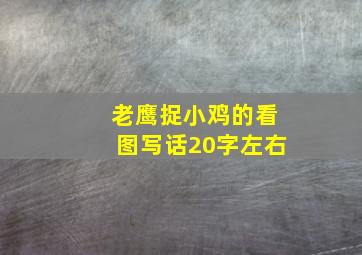 老鹰捉小鸡的看图写话20字左右