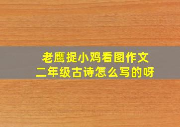 老鹰捉小鸡看图作文二年级古诗怎么写的呀