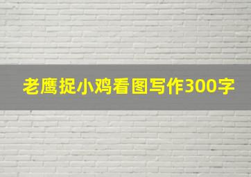 老鹰捉小鸡看图写作300字