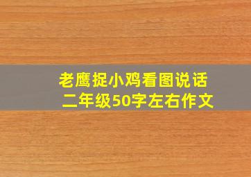 老鹰捉小鸡看图说话二年级50字左右作文