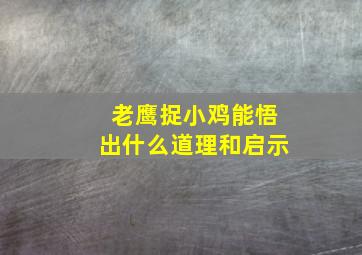 老鹰捉小鸡能悟出什么道理和启示