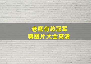 老鹰有总冠军嘛图片大全高清