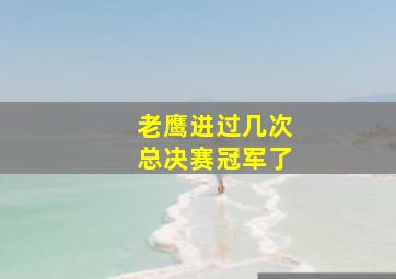 老鹰进过几次总决赛冠军了