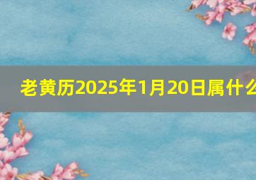 老黄历2025年1月20日属什么