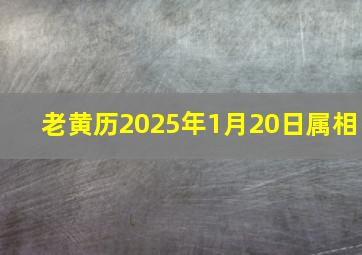 老黄历2025年1月20日属相