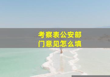 考察表公安部门意见怎么填