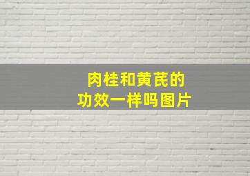 肉桂和黄芪的功效一样吗图片