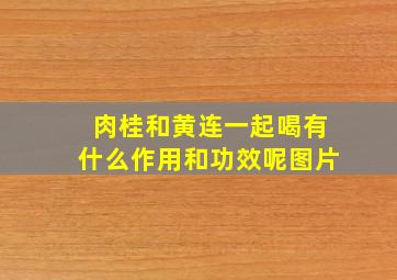 肉桂和黄连一起喝有什么作用和功效呢图片