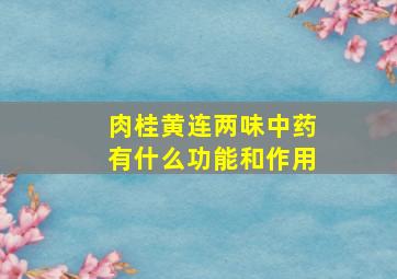 肉桂黄连两味中药有什么功能和作用