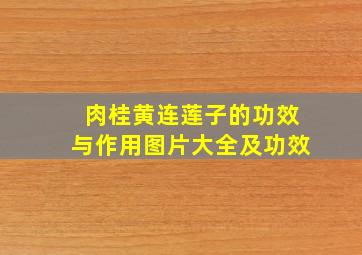 肉桂黄连莲子的功效与作用图片大全及功效