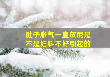 肚子胀气一直放屁是不是妇科不好引起的