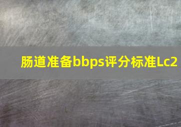 肠道准备bbps评分标准Lc2