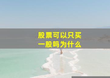 股票可以只买一股吗为什么