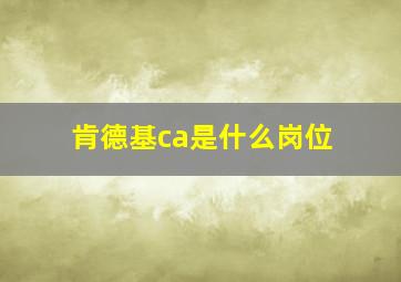 肯德基ca是什么岗位