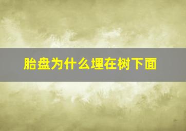 胎盘为什么埋在树下面