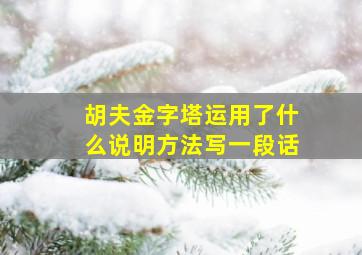 胡夫金字塔运用了什么说明方法写一段话