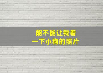 能不能让我看一下小狗的照片