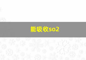 能吸收so2